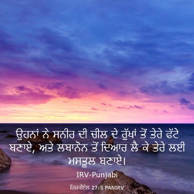 Picture 03 - ਹਿਜ਼ਕੀਏਲ 27:5 PANIRV - ਉਹਨਾਂ ਨੇ ਸਨੀਰ ਦੀ - Bible Verse Picture