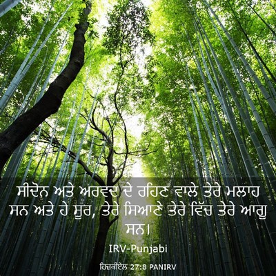 Picture 03 - ਹਿਜ਼ਕੀਏਲ 27:8 PANIRV - ਸੀਦੋਨ ਅਤੇ ਅਰਵਦ ਦੇ - Bible Verse Picture