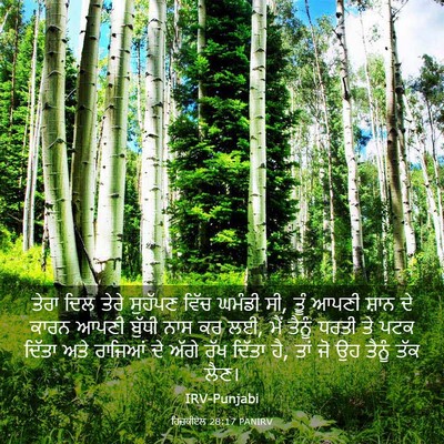 Picture 03 - ਹਿਜ਼ਕੀਏਲ 28:17 PANIRV - ਤੇਰਾ ਦਿਲ ਤੇਰੇ - Bible Verse Picture