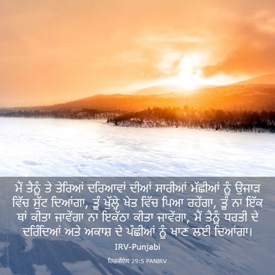 Picture 03 - ਹਿਜ਼ਕੀਏਲ 29:5 PANIRV - ਮੈਂ ਤੈਨੂੰ ਤੇ - Bible Verse Picture