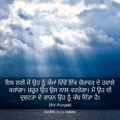 Picture 03 - ਹਿਜ਼ਕੀਏਲ 31:11 PANIRV - ਇਸ ਲਈ ਮੈਂ ਉਹ ਨੂੰ - Bible Verse Picture