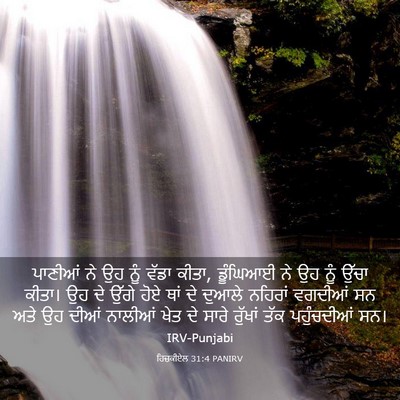 Picture 03 - ਹਿਜ਼ਕੀਏਲ 31:4 PANIRV - ਪਾਣੀਆਂ ਨੇ ਉਹ ਨੂੰ - Bible Verse Picture