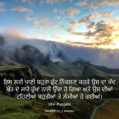 Picture 03 - ਹਿਜ਼ਕੀਏਲ 31:5 PANIRV - ਇਸ ਲਈ ਪਾਣੀ ਬਹੁਤਾ - Bible Verse Picture