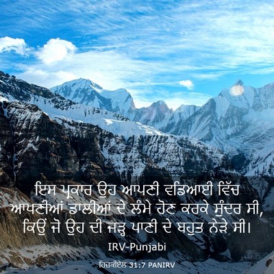 Picture 03 - ਹਿਜ਼ਕੀਏਲ 31:7 PANIRV - ਇਸ ਪ੍ਰਕਾਰ ਉਹ ਆਪਣੀ - Bible Verse Picture