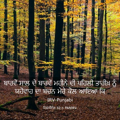 Picture 03 - ਹਿਜ਼ਕੀਏਲ 32:1 PANIRV - ਬਾਰਵੇਂ ਸਾਲ ਦੇ - Bible Verse Picture