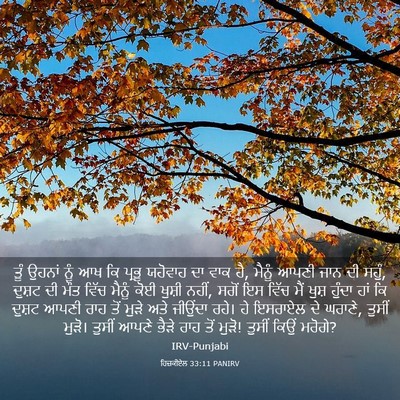 Picture 03 - ਹਿਜ਼ਕੀਏਲ 33:11 PANIRV - ਤੂੰ ਉਹਨਾਂ ਨੂੰ ਆਖ ਕਿ - Bible Verse Picture
