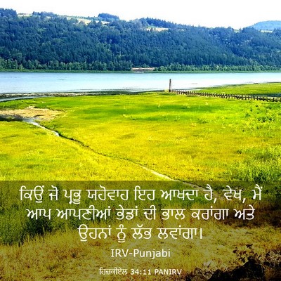 Picture 03 - ਹਿਜ਼ਕੀਏਲ 34:11 PANIRV - ਕਿਉਂ ਜੋ ਪ੍ਰਭੂ - Bible Verse Picture