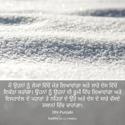 Picture 03 - ਹਿਜ਼ਕੀਏਲ 34:13 PANIRV - ਮੈਂ ਉਹਨਾਂ ਨੂੰ - Bible Verse Picture