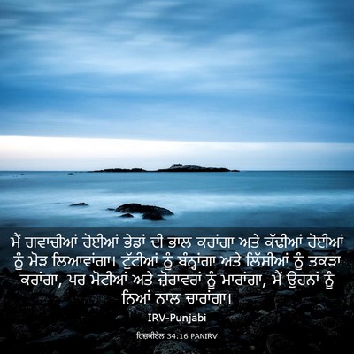 Picture 03 - ਹਿਜ਼ਕੀਏਲ 34:16 PANIRV - ਮੈਂ ਗਵਾਚੀਆਂ ਹੋਈਆਂ - Bible Verse Picture