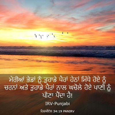 Picture 03 - ਹਿਜ਼ਕੀਏਲ 34:19 PANIRV - ਮੇਰੀਆਂ ਭੇਡਾਂ ਨੂੰ - Bible Verse Picture