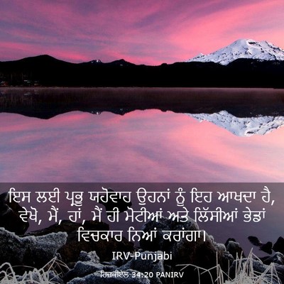 Picture 03 - ਹਿਜ਼ਕੀਏਲ 34:20 PANIRV - ਇਸ ਲਈ ਪ੍ਰਭੂ ਯਹੋਵਾਹ - Bible Verse Picture