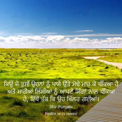 Picture 03 - ਹਿਜ਼ਕੀਏਲ 34:21 PANIRV - ਕਿਉਂ ਜੋ ਤੁਸੀਂ - Bible Verse Picture