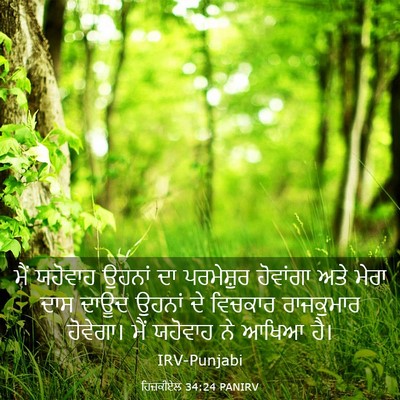 Picture 03 - ਹਿਜ਼ਕੀਏਲ 34:24 PANIRV - ਮੈਂ ਯਹੋਵਾਹ ਉਹਨਾਂ - Bible Verse Picture