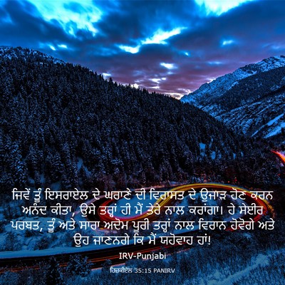 Picture 03 - ਹਿਜ਼ਕੀਏਲ 35:15 PANIRV - ਜਿਵੇਂ ਤੂੰ ਇਸਰਾਏਲ - Bible Verse Picture