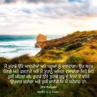 Picture 03 - ਹਿਜ਼ਕੀਏਲ 36:11 PANIRV - ਮੈਂ ਤੁਹਾਡੇ ਉੱਤੇ - Bible Verse Picture