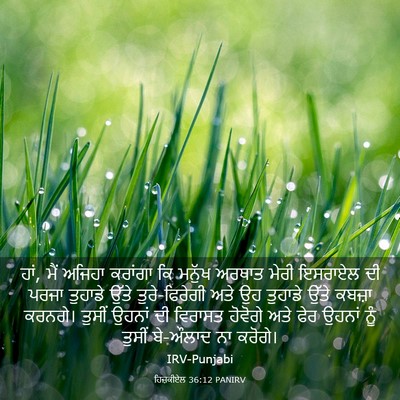 Picture 03 - ਹਿਜ਼ਕੀਏਲ 36:12 PANIRV - ਹਾਂ, ਮੈਂ ਅਜਿਹਾ - Bible Verse Picture