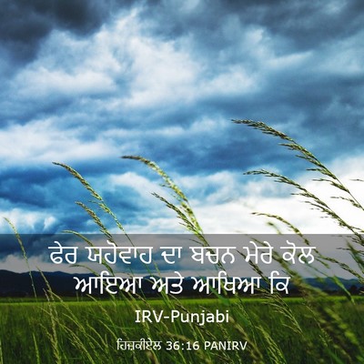 Picture 03 - ਹਿਜ਼ਕੀਏਲ 36:16 PANIRV - ਫੇਰ ਯਹੋਵਾਹ ਦਾ ਬਚਨ - Bible Verse Picture