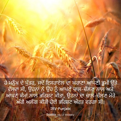 Picture 03 - ਹਿਜ਼ਕੀਏਲ 36:17 PANIRV - ਹੇ ਮਨੁੱਖ ਦੇ ਪੁੱਤਰ, - Bible Verse Picture