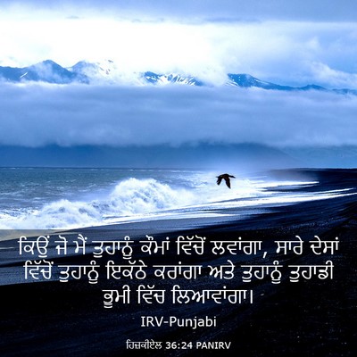 Picture 03 - ਹਿਜ਼ਕੀਏਲ 36:24 PANIRV - ਕਿਉਂ ਜੋ ਮੈਂ - Bible Verse Picture