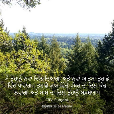 Picture 03 - ਹਿਜ਼ਕੀਏਲ 36:26 PANIRV - ਮੈਂ ਤੁਹਾਨੂੰ ਨਵਾਂ - Bible Verse Picture