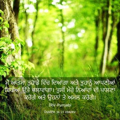Picture 03 - ਹਿਜ਼ਕੀਏਲ 36:27 PANIRV - ਮੈਂ ਆਤਮਾ ਤੁਹਾਡੇ - Bible Verse Picture