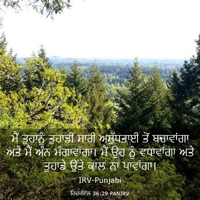 Picture 03 - ਹਿਜ਼ਕੀਏਲ 36:29 PANIRV - ਮੈਂ ਤੁਹਾਨੂੰ - Bible Verse Picture