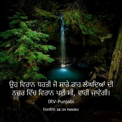 Picture 03 - ਹਿਜ਼ਕੀਏਲ 36:34 PANIRV - ਉਹ ਵਿਰਾਨ ਧਰਤੀ ਜੋ - Bible Verse Picture