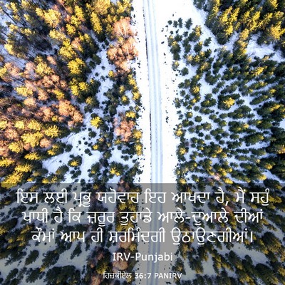 Picture 03 - ਹਿਜ਼ਕੀਏਲ 36:7 PANIRV - ਇਸ ਲਈ ਪ੍ਰਭੂ ਯਹੋਵਾਹ - Bible Verse Picture