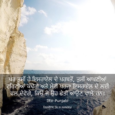 Picture 03 - ਹਿਜ਼ਕੀਏਲ 36:8 PANIRV - ਪਰ ਤੁਸੀਂ ਹੇ ਇਸਰਾਏਲ - Bible Verse Picture
