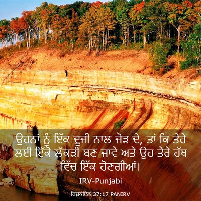 Picture 03 - ਹਿਜ਼ਕੀਏਲ 37:17 PANIRV - ਉਹਨਾਂ ਨੂੰ ਇੱਕ ਦੂਜੀ - Bible Verse Picture