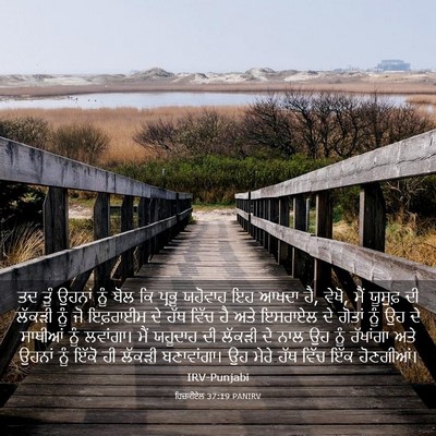 Picture 03 - ਹਿਜ਼ਕੀਏਲ 37:19 PANIRV - ਤਦ ਤੂੰ ਉਹਨਾਂ ਨੂੰ - Bible Verse Picture