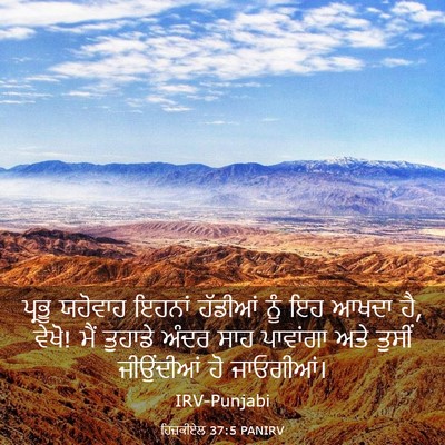 Picture 03 - ਹਿਜ਼ਕੀਏਲ 37:5 PANIRV - ਪ੍ਰਭੂ ਯਹੋਵਾਹ - Bible Verse Picture