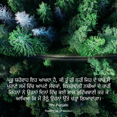 Picture 03 - ਹਿਜ਼ਕੀਏਲ 38:17 PANIRV - ਪ੍ਰਭੂ ਯਹੋਵਾਹ ਇਹ - Bible Verse Picture