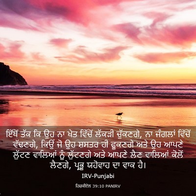 Picture 03 - ਹਿਜ਼ਕੀਏਲ 39:10 PANIRV - ਇੱਥੋਂ ਤੱਕ ਕਿ ਉਹ ਨਾ - Bible Verse Picture