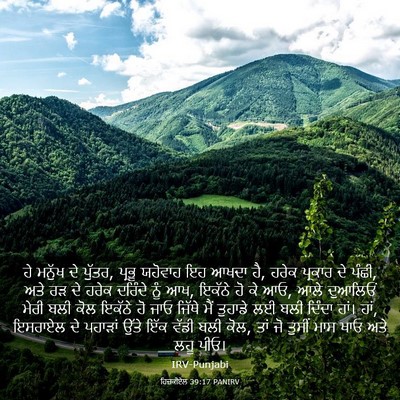 Picture 03 - ਹਿਜ਼ਕੀਏਲ 39:17 PANIRV - ਹੇ ਮਨੁੱਖ ਦੇ ਪੁੱਤਰ, - Bible Verse Picture