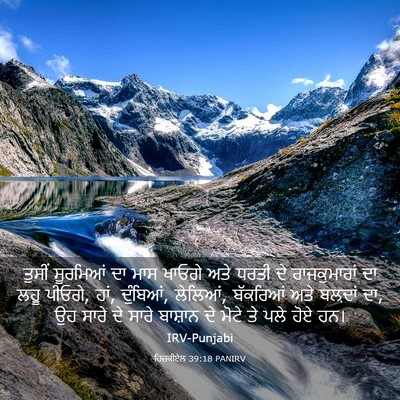 Picture 03 - ਹਿਜ਼ਕੀਏਲ 39:18 PANIRV - ਤੁਸੀਂ ਸੂਰਮਿਆਂ ਦਾ - Bible Verse Picture