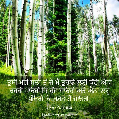 Picture 03 - ਹਿਜ਼ਕੀਏਲ 39:19 PANIRV - ਤੁਸੀਂ ਮੇਰੀ ਬਲੀ ਤੋਂ - Bible Verse Picture