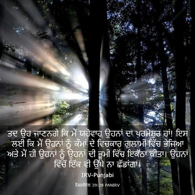 Picture 03 - ਹਿਜ਼ਕੀਏਲ 39:28 PANIRV - ਤਦ ਉਹ ਜਾਣਨਗੇ ਕਿ ਮੈਂ - Bible Verse Picture