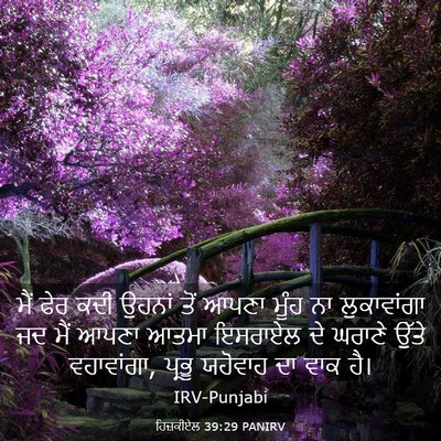 Picture 03 - ਹਿਜ਼ਕੀਏਲ 39:29 PANIRV - ਮੈਂ ਫੇਰ ਕਦੀ ਉਹਨਾਂ - Bible Verse Picture
