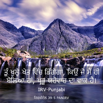Picture 03 - ਹਿਜ਼ਕੀਏਲ 39:5 PANIRV - ਤੂੰ ਖੁਲ੍ਹੇ ਖੇਤ - Bible Verse Picture