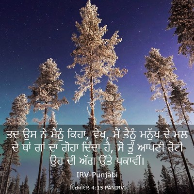 Picture 03 - ਹਿਜ਼ਕੀਏਲ 4:15 PANIRV - ਤਦ ਉਸ ਨੇ ਮੈਨੂੰ - Bible Verse Picture