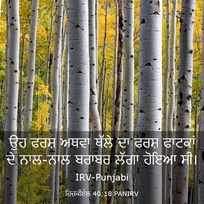 Picture 03 - ਹਿਜ਼ਕੀਏਲ 40:18 PANIRV - ਉਹ ਫਰਸ਼ ਅਥਵਾ ਥੱਲੇ - Bible Verse Picture