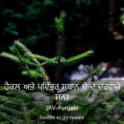Picture 03 - ਹਿਜ਼ਕੀਏਲ 41:23 PANIRV - ਹੈਕਲ ਅਤੇ ਪਵਿੱਤਰ - Bible Verse Picture