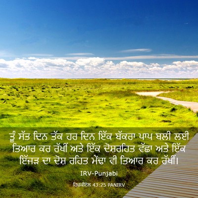 Picture 03 - ਹਿਜ਼ਕੀਏਲ 43:25 PANIRV - ਤੂੰ ਸੱਤ ਦਿਨ ਤੱਕ ਹਰ - Bible Verse Picture