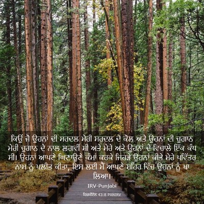 Picture 03 - ਹਿਜ਼ਕੀਏਲ 43:8 PANIRV - ਕਿਉਂ ਜੋ ਉਹਨਾਂ ਦੀ - Bible Verse Picture