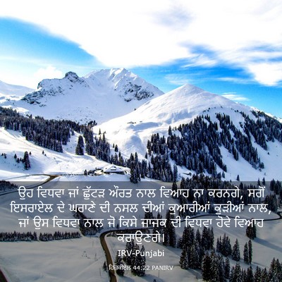 Picture 03 - ਹਿਜ਼ਕੀਏਲ 44:22 PANIRV - ਉਹ ਵਿਧਵਾ ਜਾਂ ਛੁੱਟੜ - Bible Verse Picture