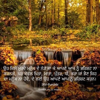 Picture 03 - ਹਿਜ਼ਕੀਏਲ 44:25 PANIRV - ਉਹ ਕਿਸੇ ਮੁਰਦੇ - Bible Verse Picture