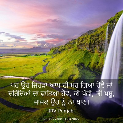 Picture 03 - ਹਿਜ਼ਕੀਏਲ 44:31 PANIRV - ਪਰ ਉਹ ਜਿਹੜਾ ਆਪ ਹੀ - Bible Verse Picture