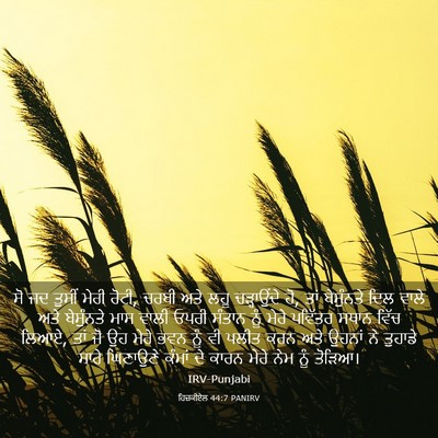 Picture 03 - ਹਿਜ਼ਕੀਏਲ 44:7 PANIRV - ਸੋ ਜਦ ਤੁਸੀਂ ਮੇਰੀ - Bible Verse Picture