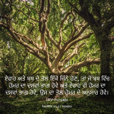 Picture 03 - ਹਿਜ਼ਕੀਏਲ 45:11 PANIRV - ਏਫਾਹ ਅਤੇ ਬਥ ਦੇ ਤੋਲ - Bible Verse Picture